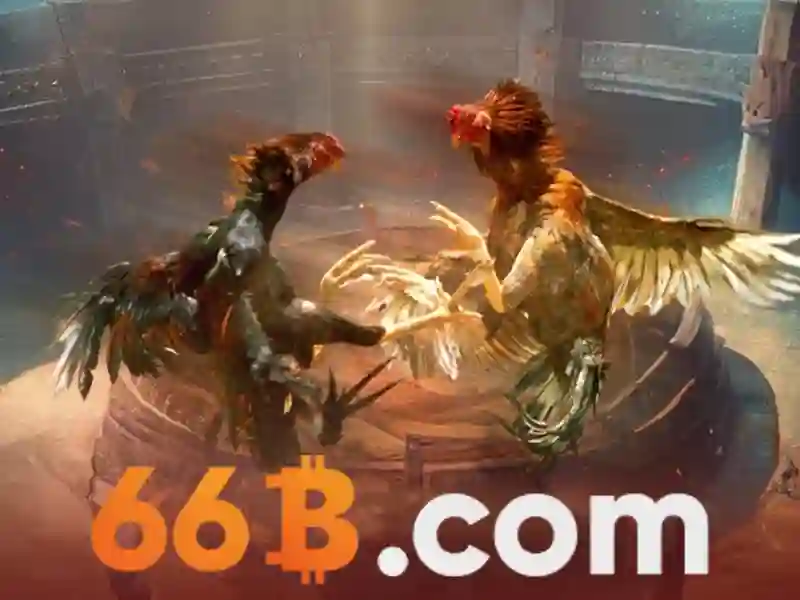 Tổng quan chủ đề và giá trị cốt lõi