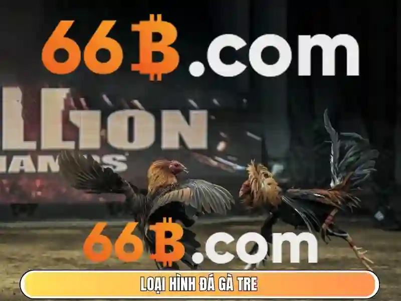 Các sản phẩm và dịch vụ trọng tâm của khuyến mãi 66b