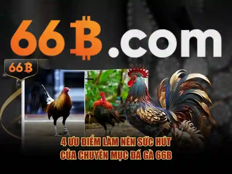 bắn cá 66b – Nguồn gốc và sứ mệnh