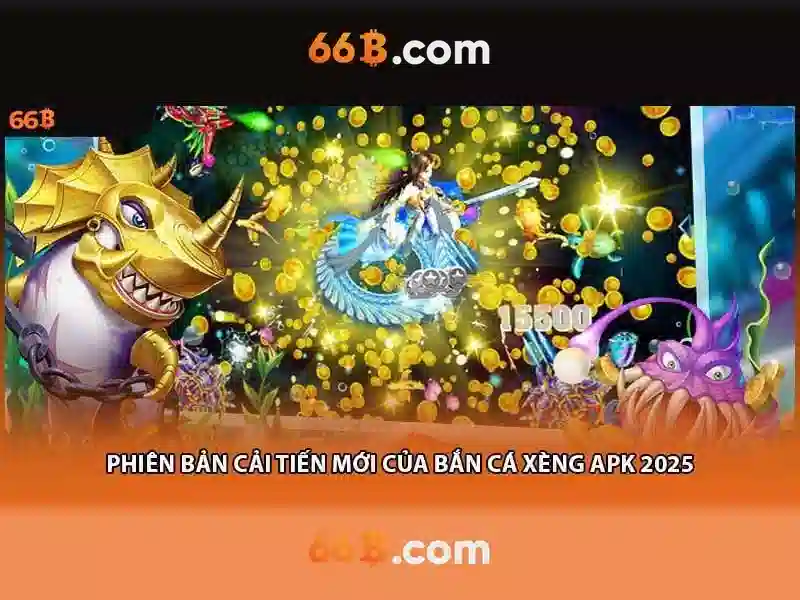 66B là gì?