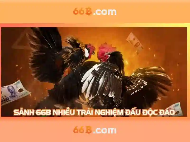 Kiến trúc transformer và kỹ thuật tối ưu