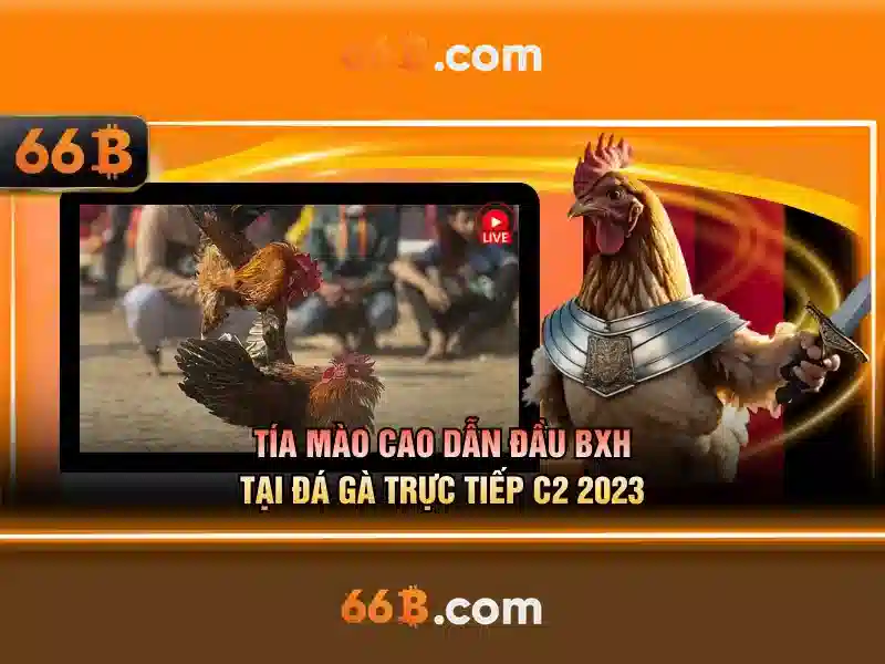 66B là gì?