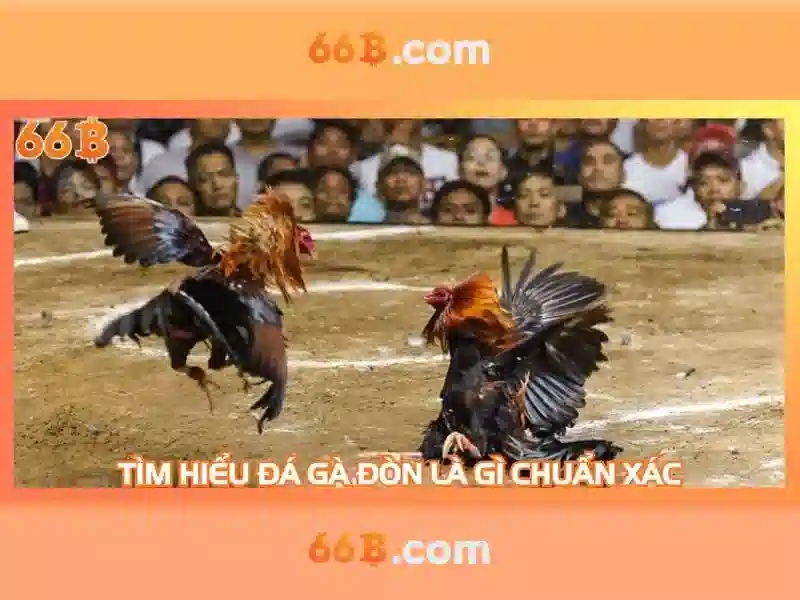 Kiến trúc và dữ liệu luyện tập<h>Ưu và nhược điểm</h><p><span style=