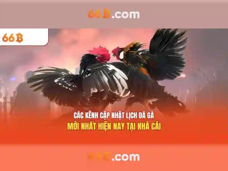 Kiến trúc và tham số của 66b
