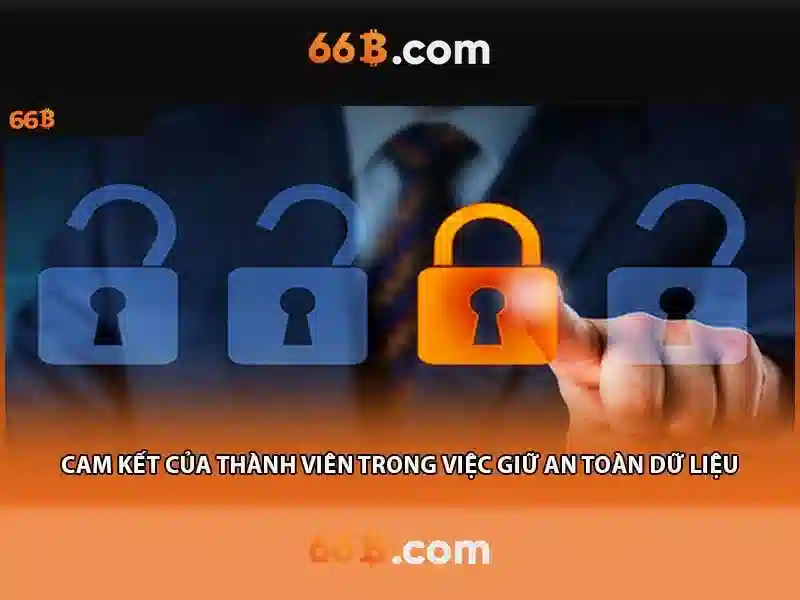 phỏm 66b – Tổng quan chủ đề và giá trị cốt lõi