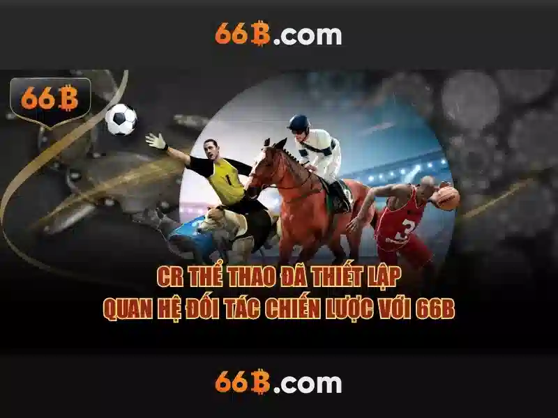 Sản phẩm và dịch vụ cốt lõi: Ứng dụng thực tế của số 22 ngõ 66b triều khúc