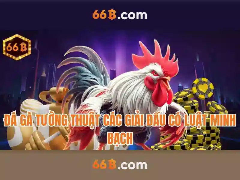 66B là gì?