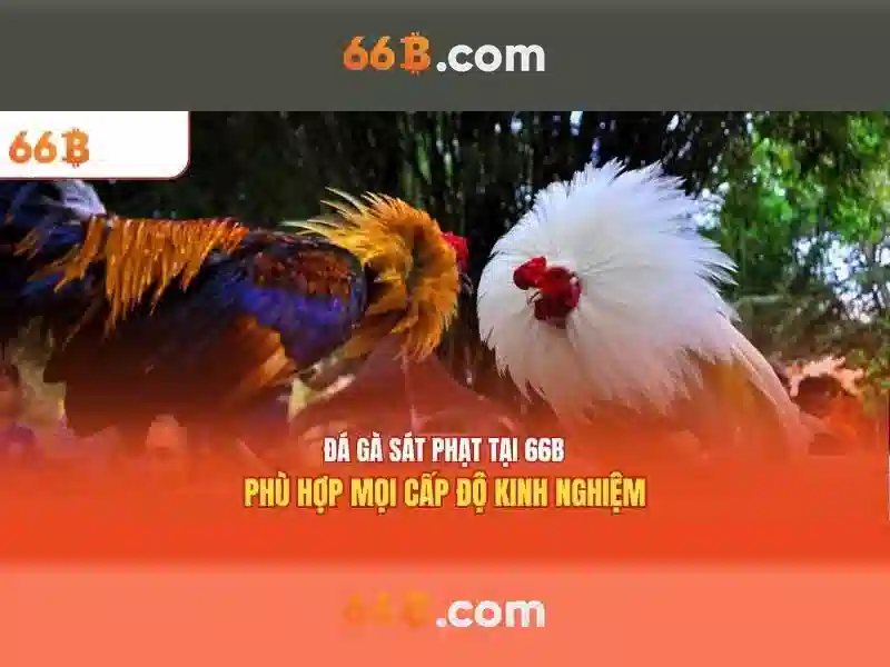 Kiến trúc và quy mô
