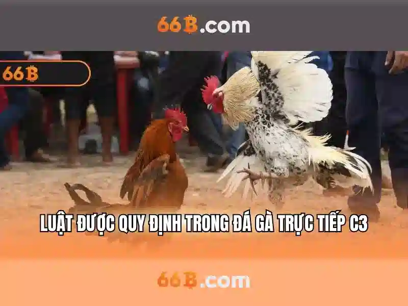 Giới thiệu về 66B