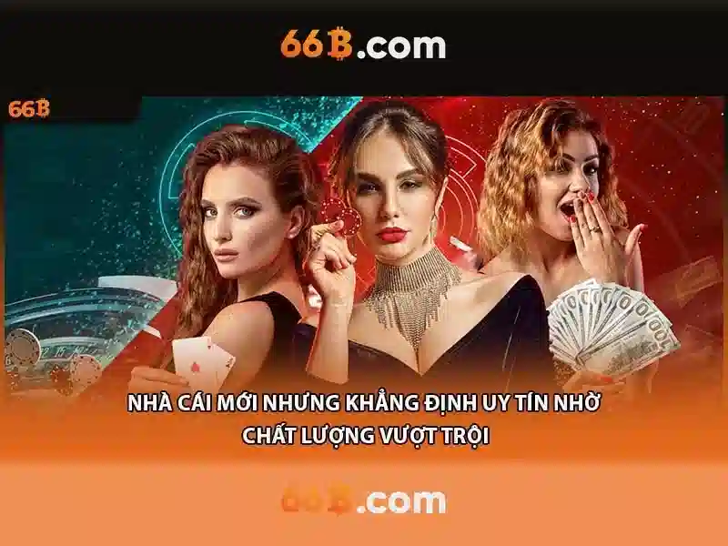 Đặc điểm nổi bật của 66b\n<h4>Các ứng dụng của 66b</h4>\n<p><span style=