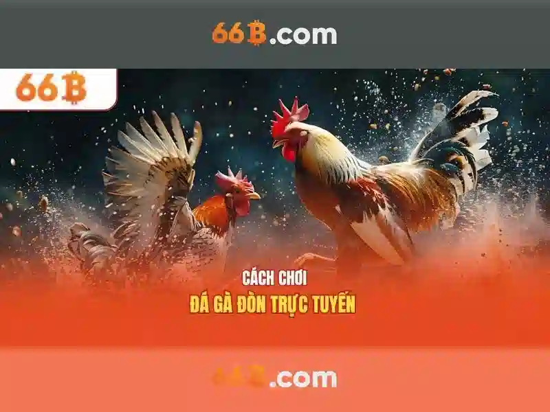 Những thách thức và cơ hội với 66b