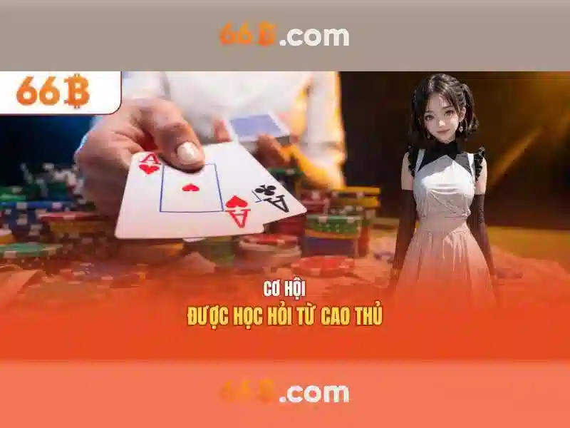 66b là gì?