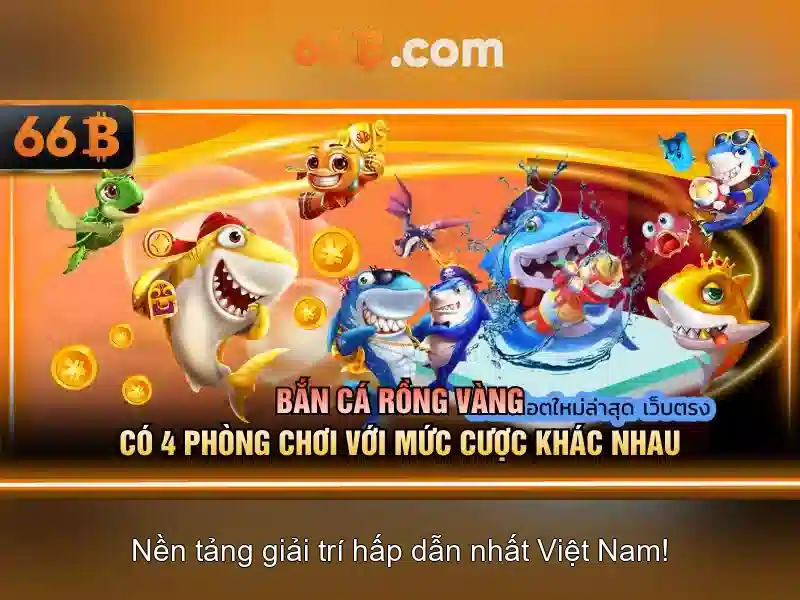 66B là gì