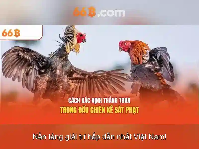 Mẹo chơi bắn cá 3 cây dễ ăn tiền nhà cái