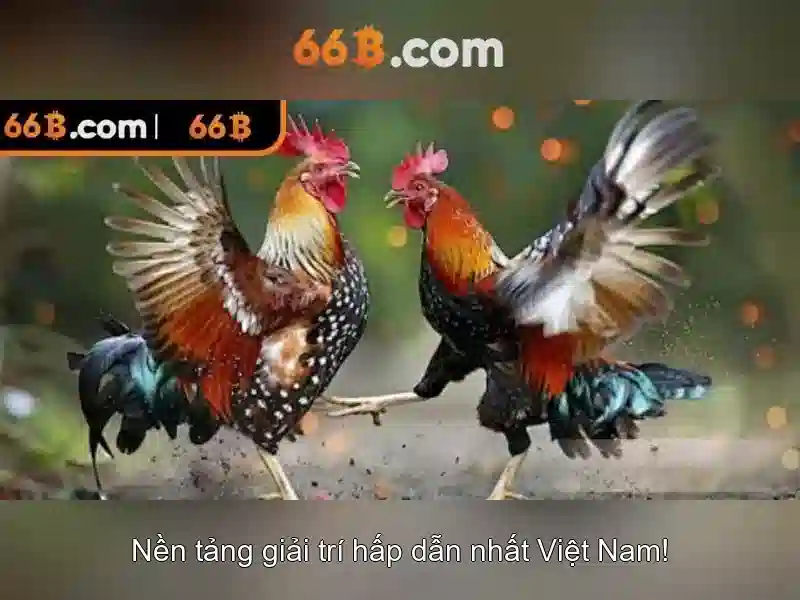 Khái niệm cơ bản của 66B<p><span style=