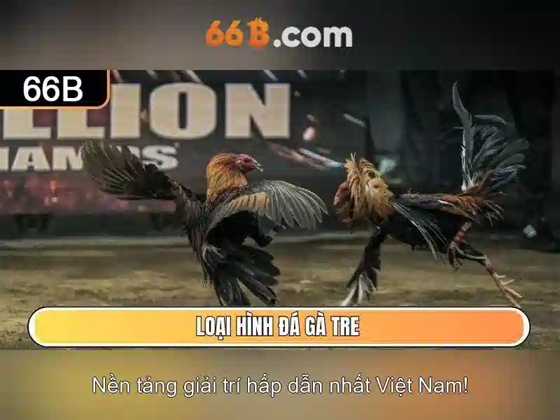 Tương lai của 66B