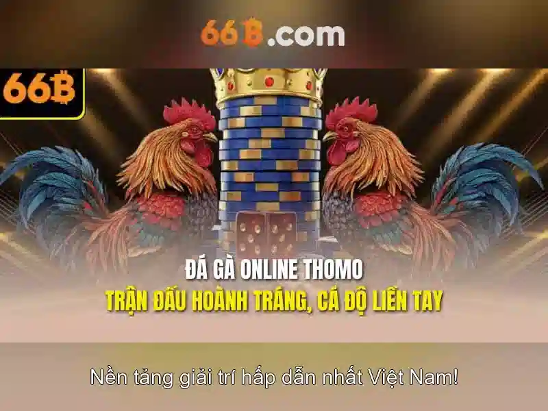 Đánh đổi và thách thức