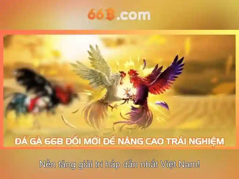 Kiến trúc và đặc điểm của 66b