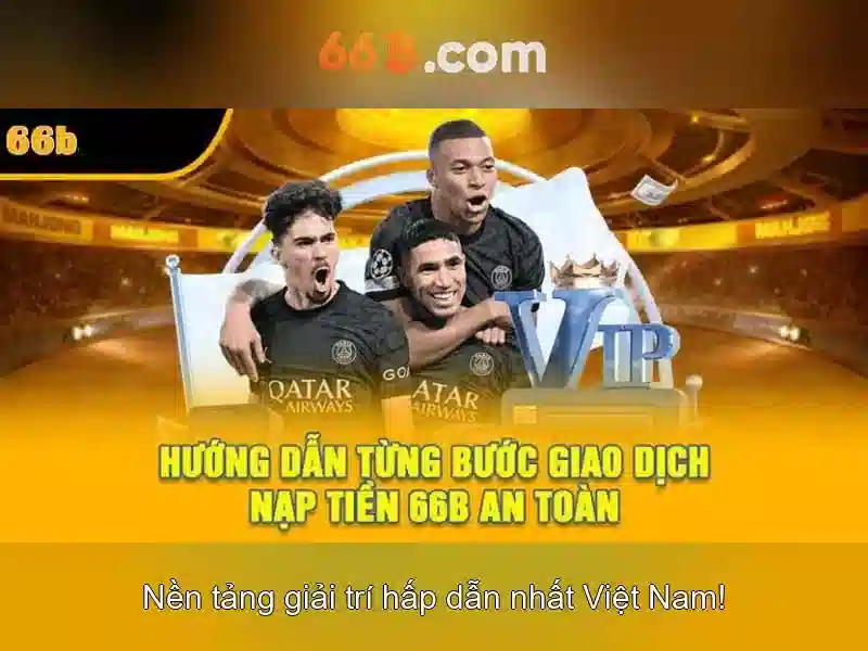 66B là gì?