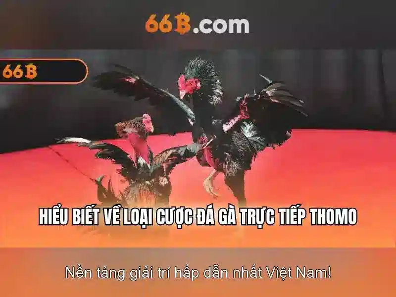 Cấu trúc và quy mô<h2 class=