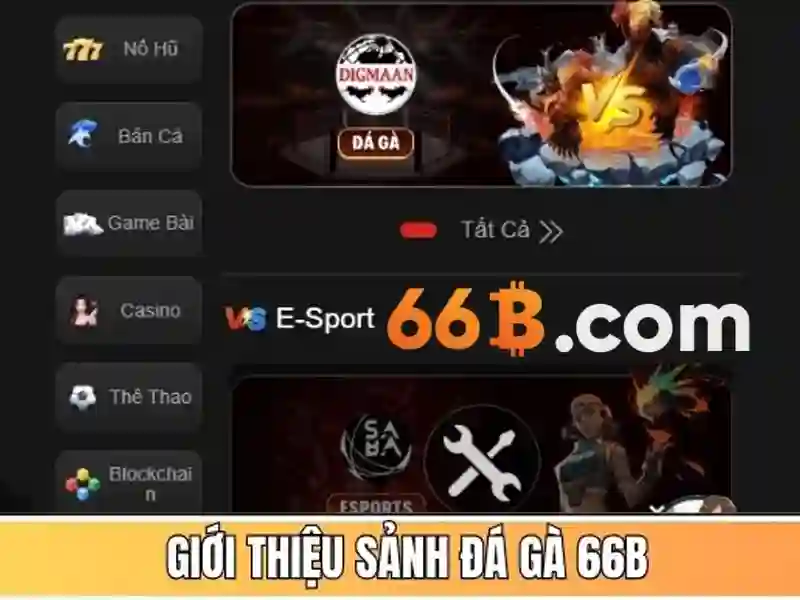 66b là gì và tại sao nó nhận được sự chú ý