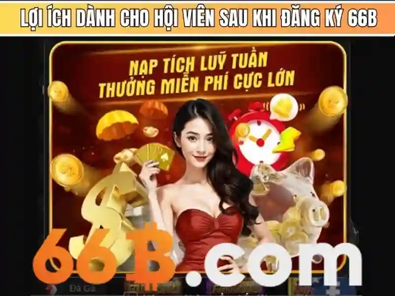 Tương lai của 66B và kết luận