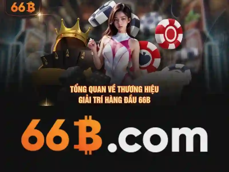 code 66b – Sản phẩm và dịch vụ cốt lõi