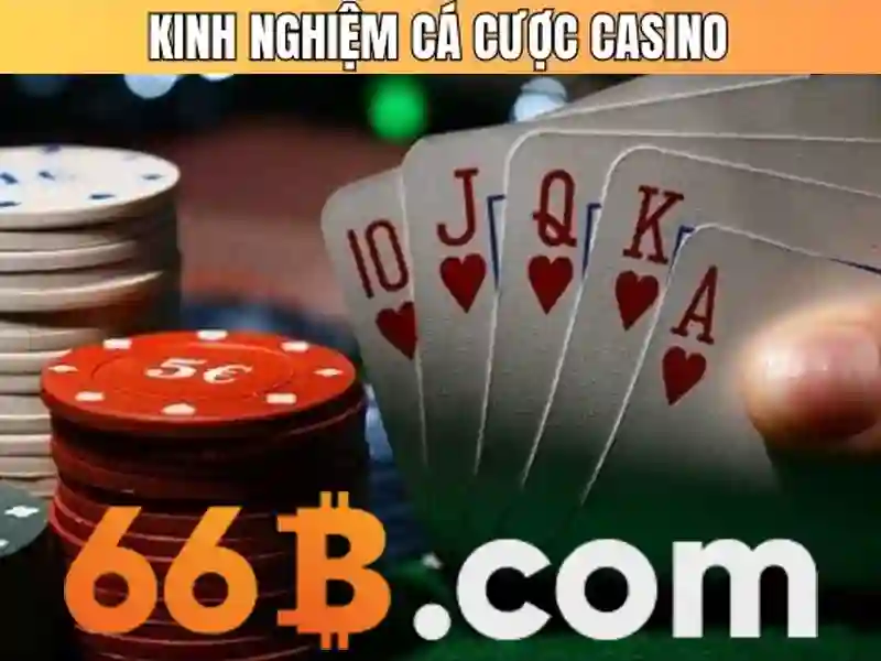 Cấu hình tham số của 66B và cách đo lường hiệu suất