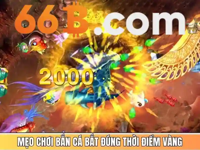 Lưu ý và thận trọng khi sử dụng 66b\n<h>Tương lai của 66b và xu hướng nghiên cứu</h>\n<p><span style=