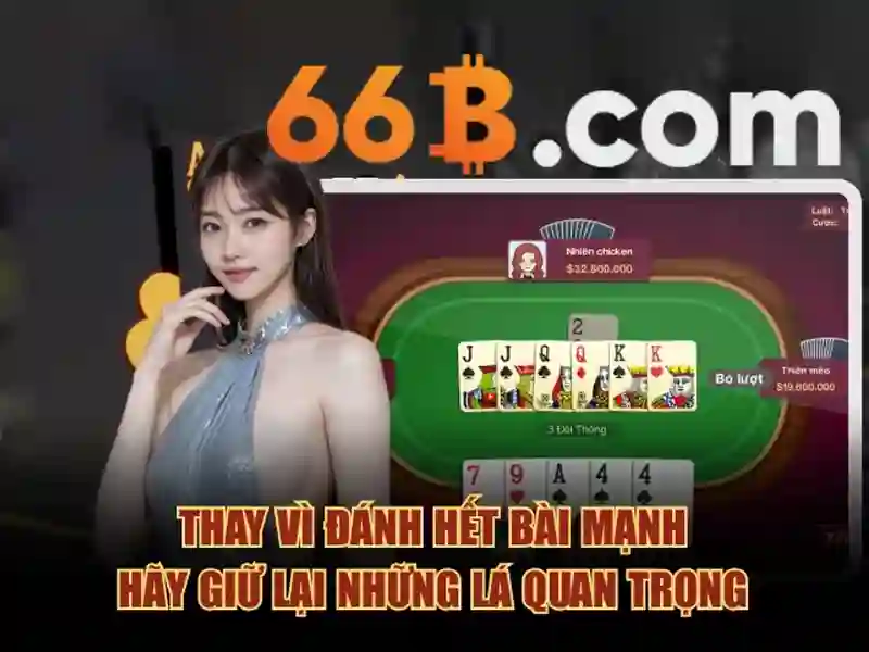 66b mới – Giới thiệu khái quát