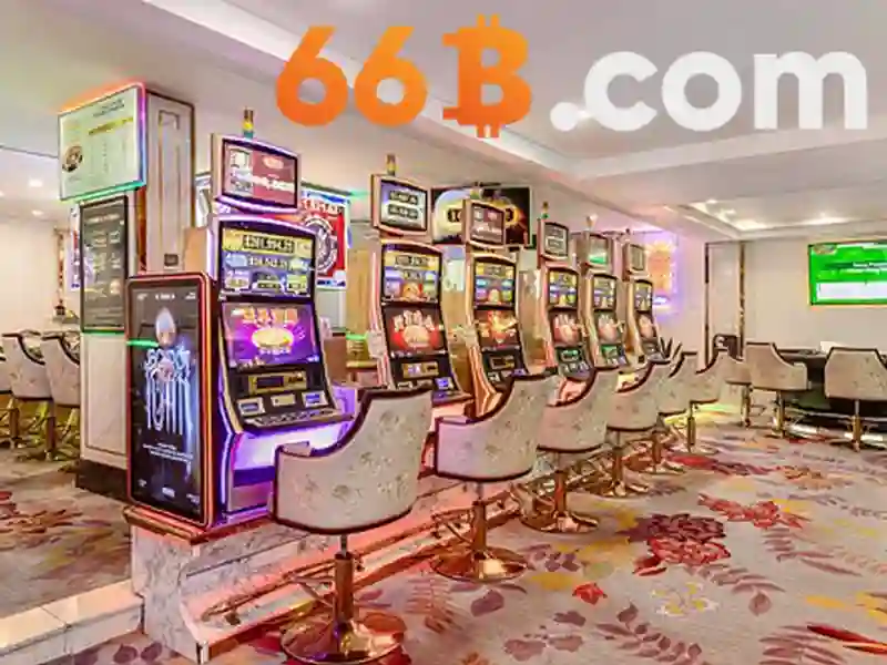 Trải nghiệm người dùng và phản hồi cộng đồng