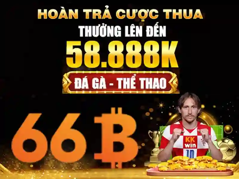 cd 66b fitc – Tổng quan chủ đề và giá trị cốt lõi