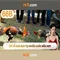 66b: Mô hình ngôn ngữ 66 tỷ tham số và hành trình của nó