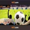 66b: Mô hình ngôn ngữ lớn và tương lai của AI