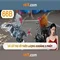66b: Mô hình ngôn ngữ 66 tỷ tham số và tương lai của trí tuệ nhân tạo