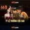 66b: một cái nhìn tổng quan về mô hình ngôn ngữ lớn 66b