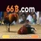 66b: Khám phá mô hình ngôn ngữ có 66 tỷ tham số
