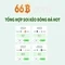 66B: Mô hình ngôn ngữ 66 tỷ tham số và tầm ảnh hưởng